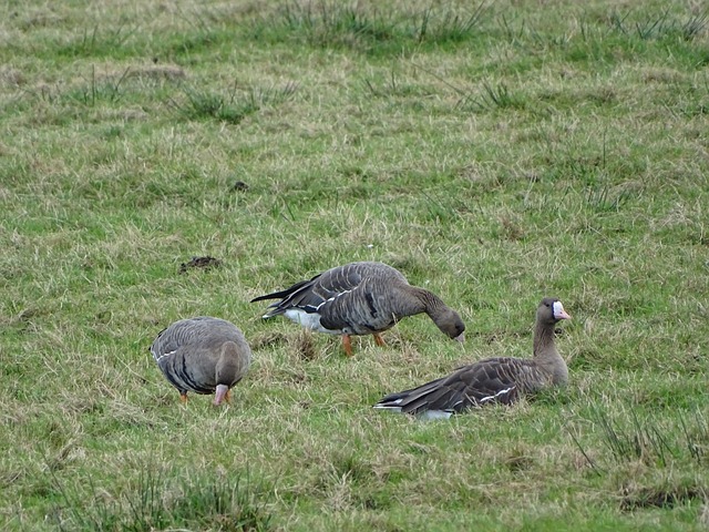 人们在春节 人们在春节