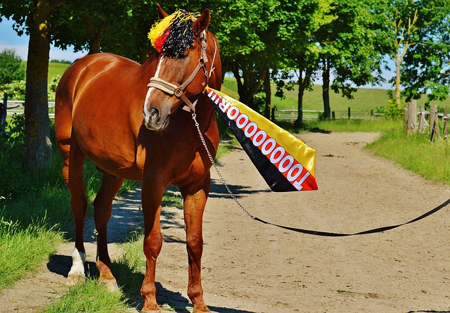 技术革新和 技术革新和